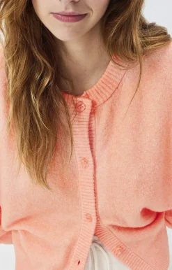 American Vintage Women'S Cardigan Damsville Melange Camelia Online